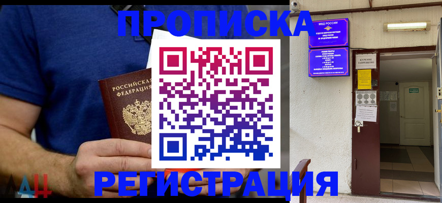 прописка поиск в Сольцах